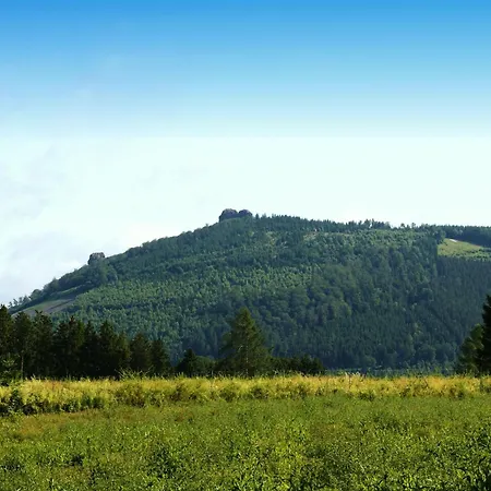 Διαμέρισμα Wahle Olsberg